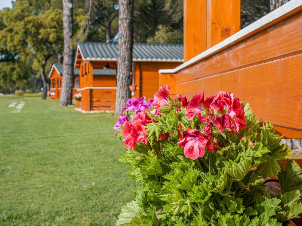 Chalet Do Lago Montargil Eksteriør billede